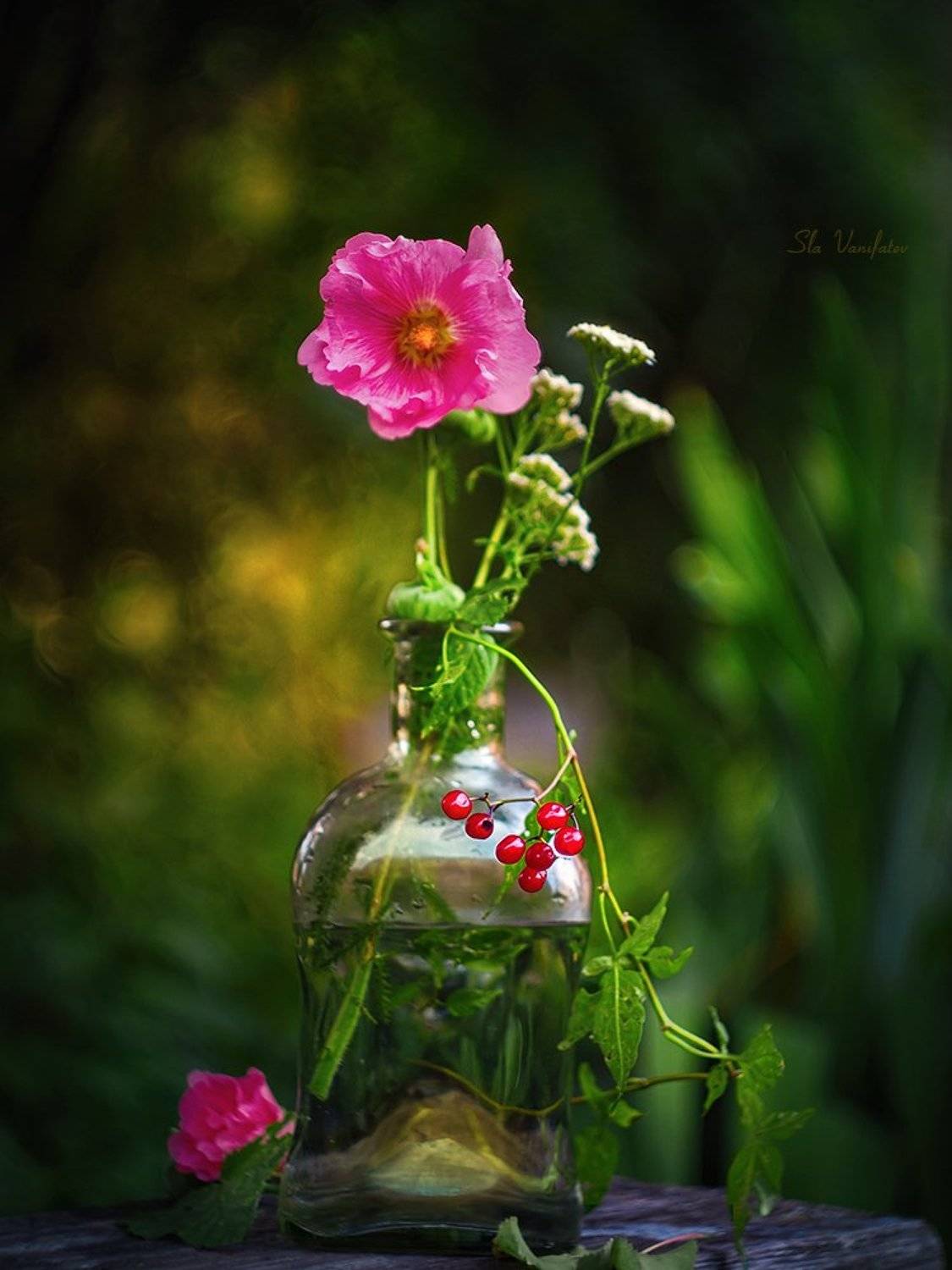 , Вячеслав Ванифатьев