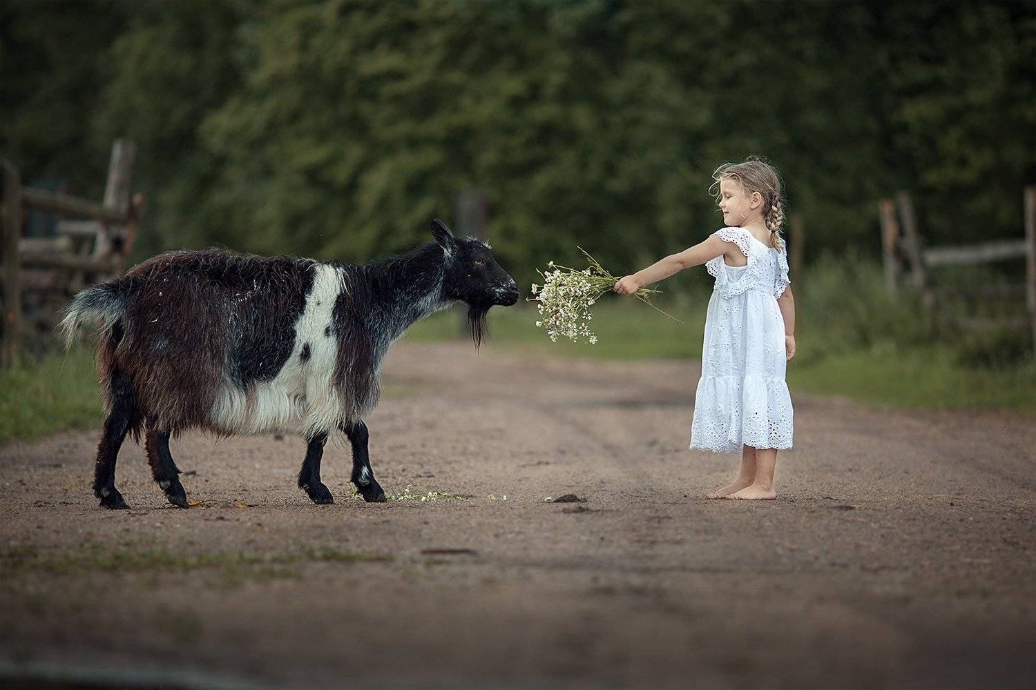 Семейная фотография, Людмила Бобровская