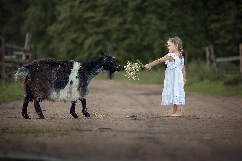 Семейная фотография Настоящая дружба фото превью