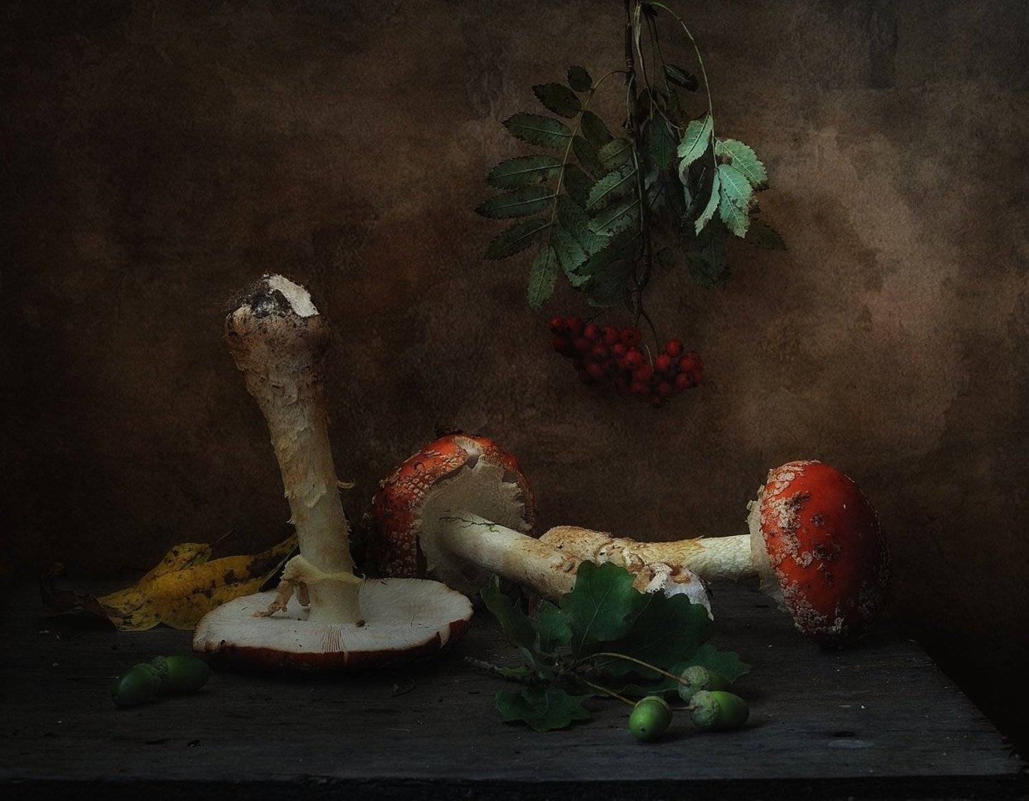 натюрморт,мухоморы,грибы, Наталия К