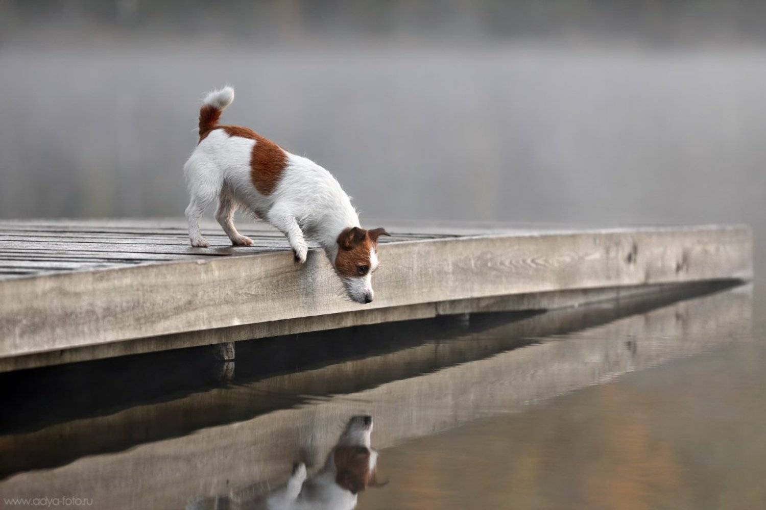 , Надежда Иванова
