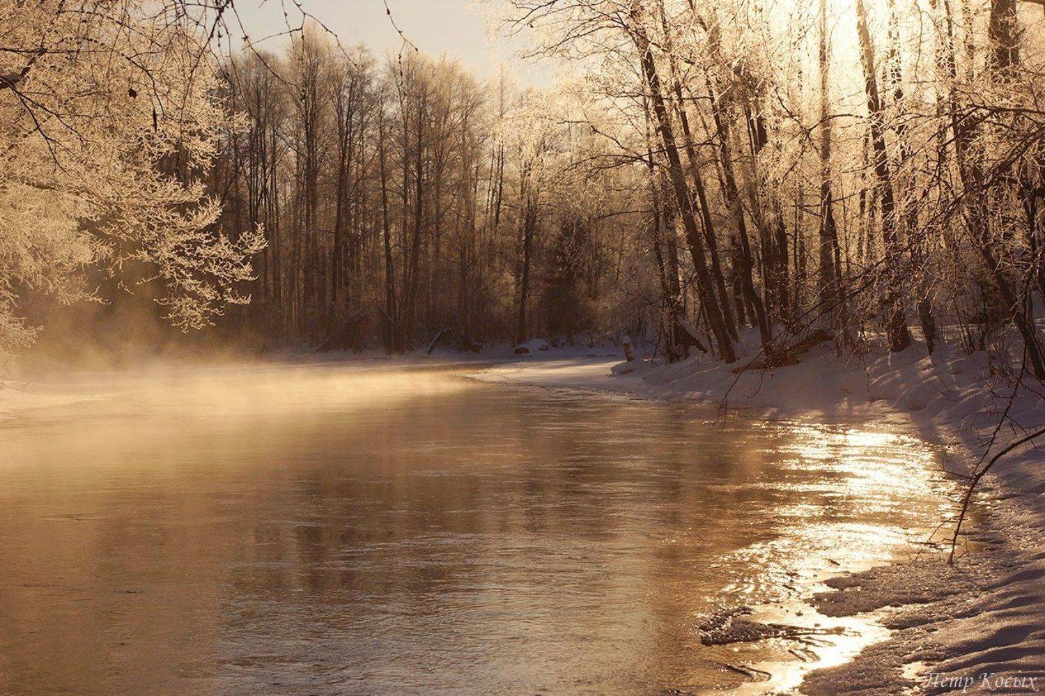 утро, весна, Петр Косых