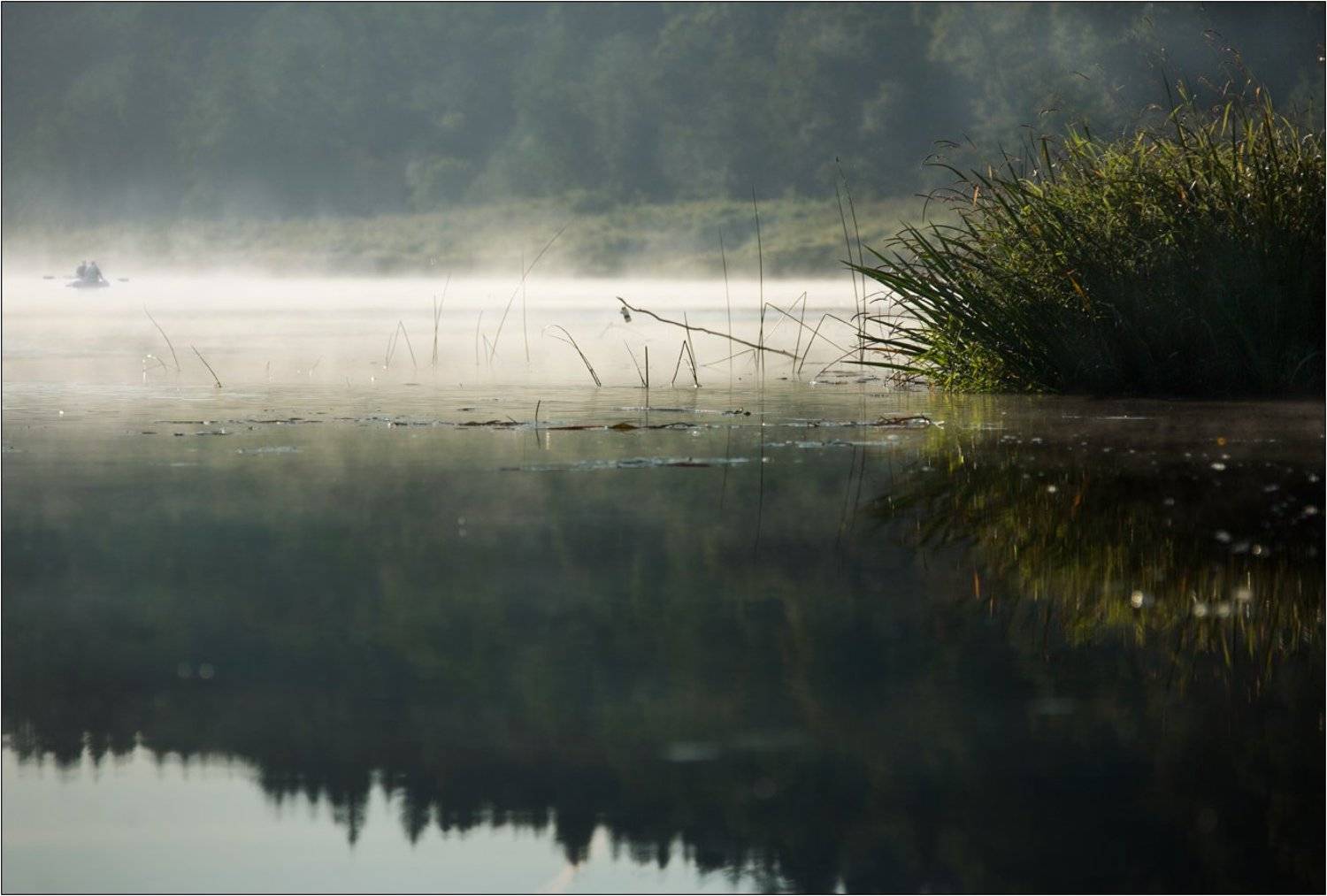 река угра национальный парк туман утро рыбаки камыши, Boris Bort