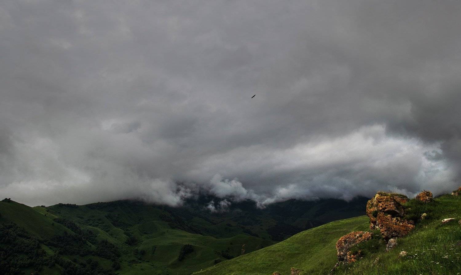 кабардино-балкария, кавказ, горы, гроза, орел, тучи, мрачно, Денис Богомолов