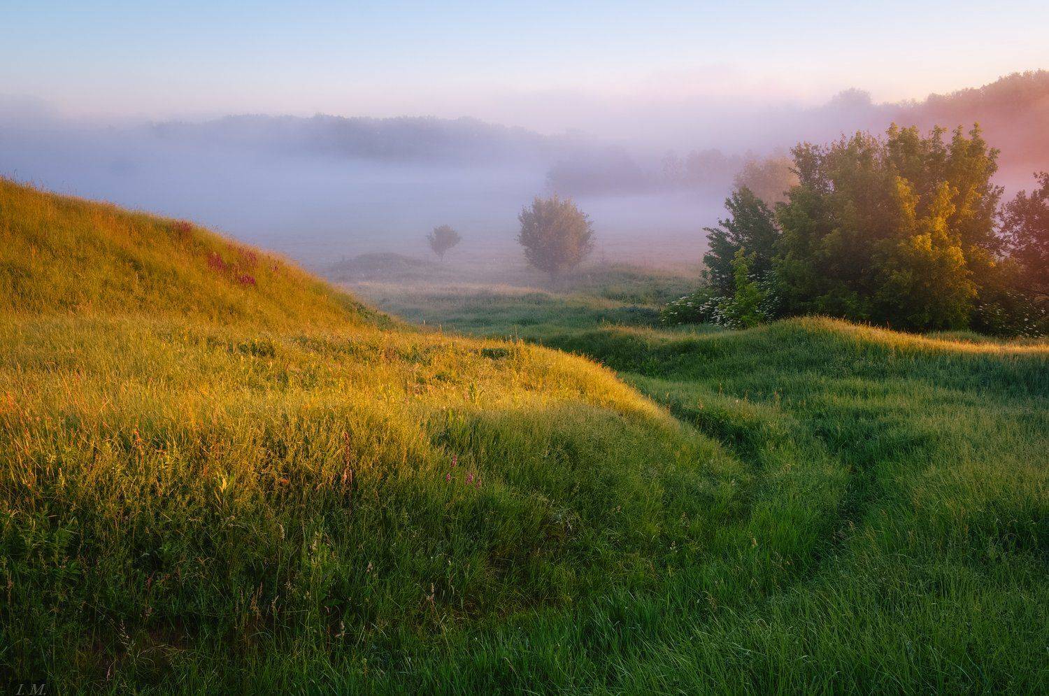 долина, лето, природа, свет, туман, утро, холмы, hills, misty, colors, valley, foggy, fog, grass, landscape, light, morning, nature, summer,, Ivan Maljarenko