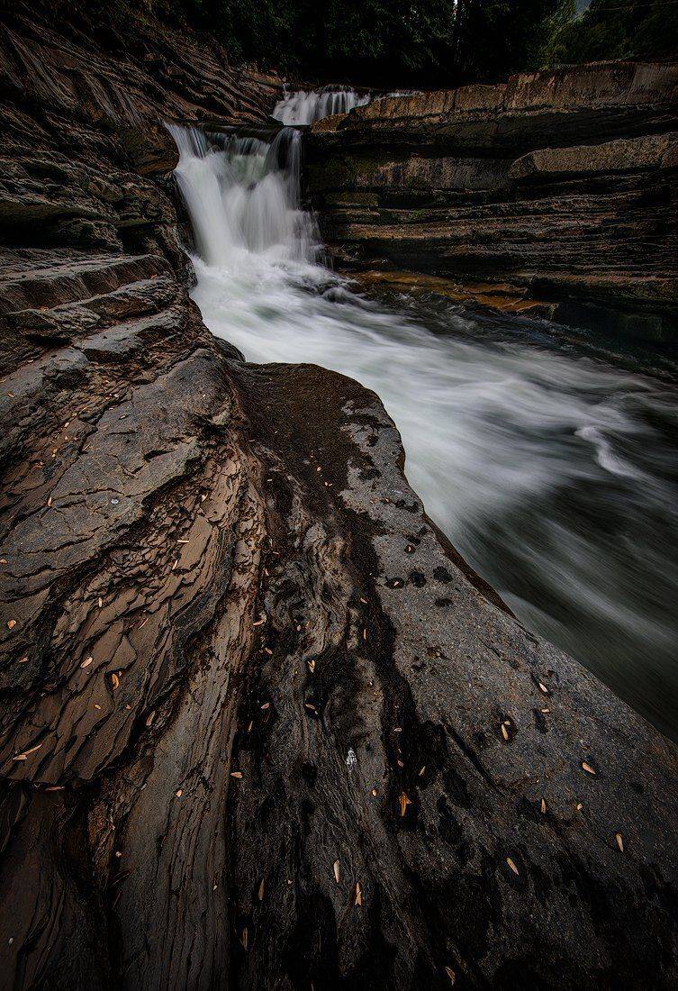 , Тодор Божков