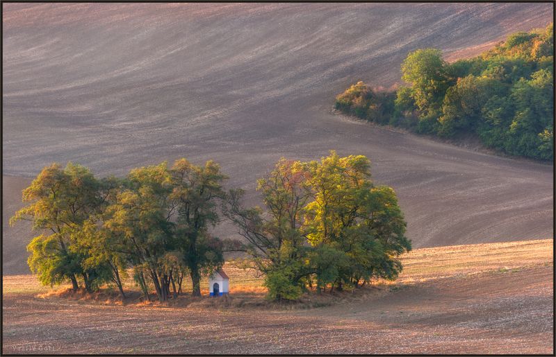 южная моравия,пейзаж,hils,часовенка св.варвары,линии,chapel,south moravian,lines,свет,czech,лето,чехия,landscapes. Жарким вечером у каплички фото превью