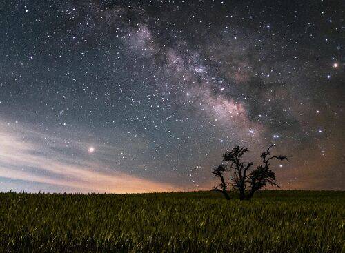 Milkyway pver wheat field