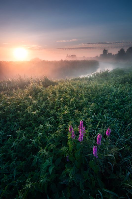 poland podlasie sky clouds sunrise dawn outdoor summer mood fog mist river wildflower Wearing that satine dress of yours... фото превью