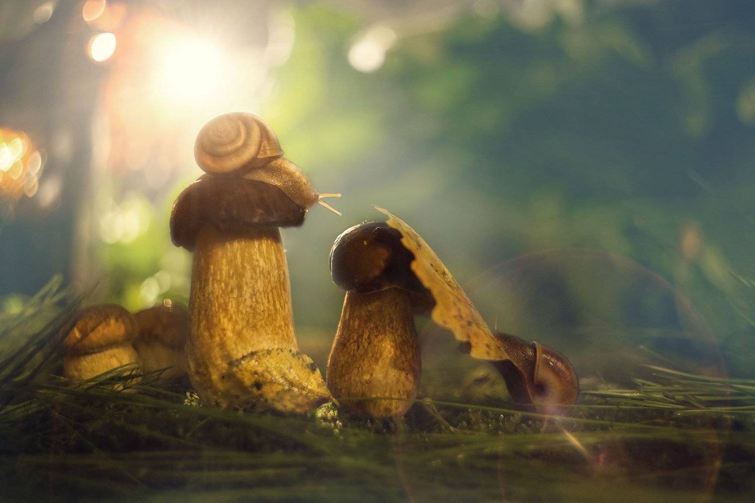 , Екатерина Науменко