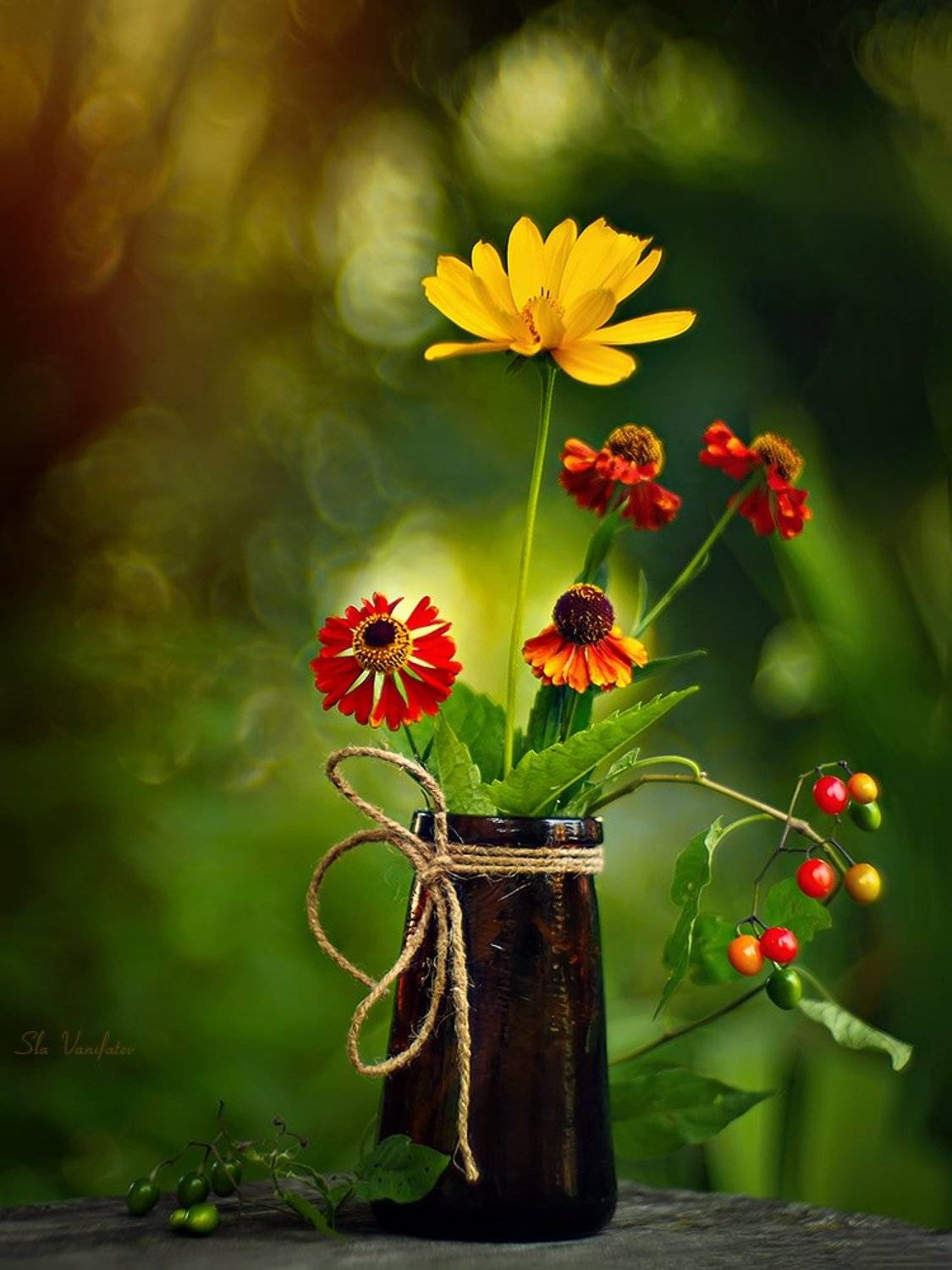 , Вячеслав Ванифатьев