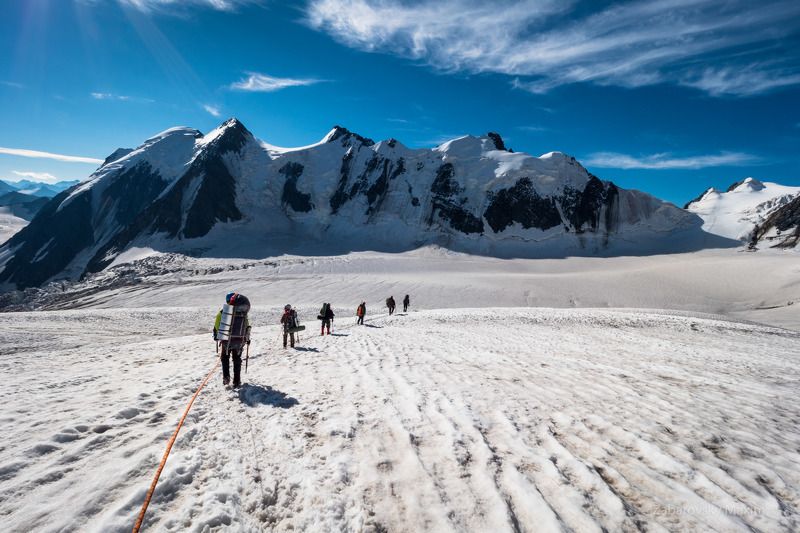 алтай, горы, связка, альпинизм, ледник В связке фото превью