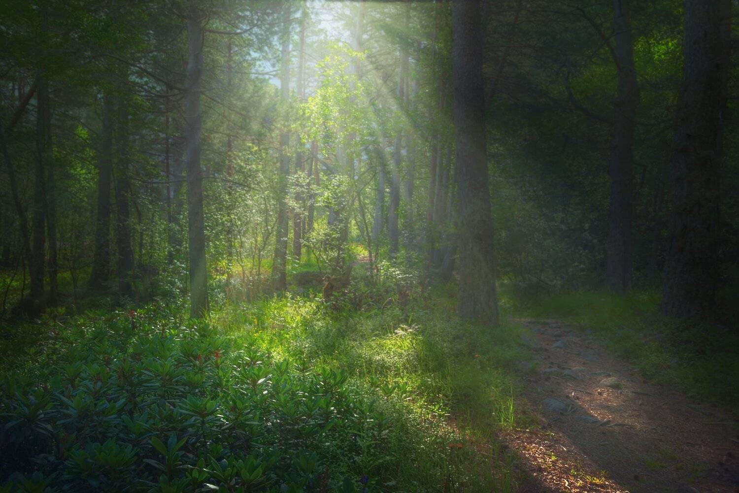 , Елена Брежицкая