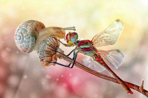 Face to face