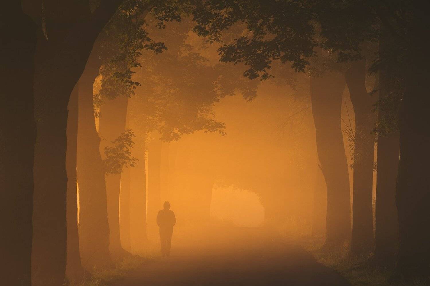 landscape,canon,mist,light,autumn, Iza i Darek Mitręga