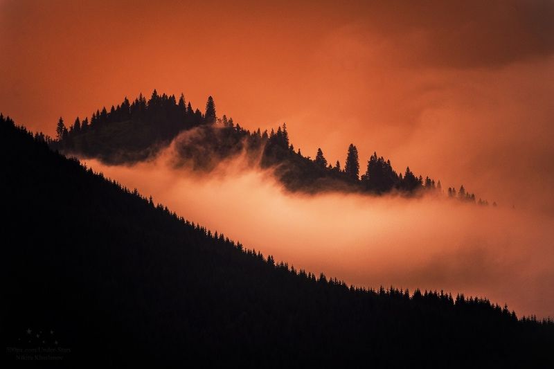 карпаты, рассвет, елки, деревья, силуэты, облака, туман В плену прекрасного мгновения фото превью