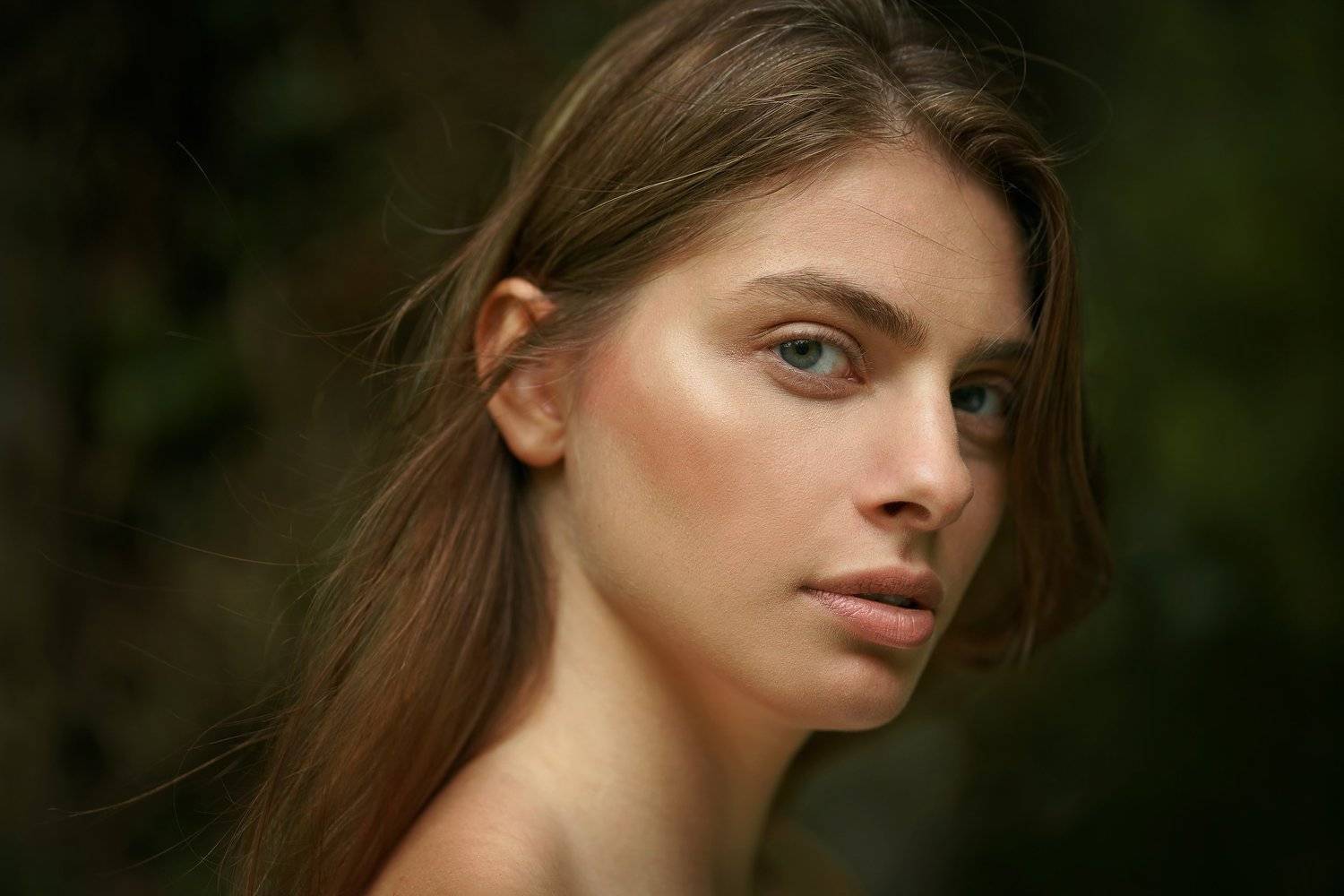 portrait, Ali Arabzadeh