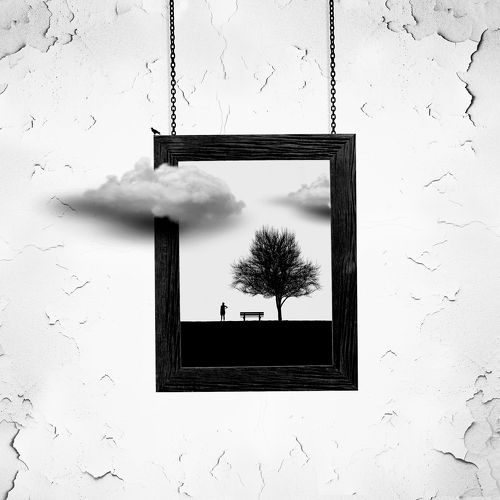 Frame