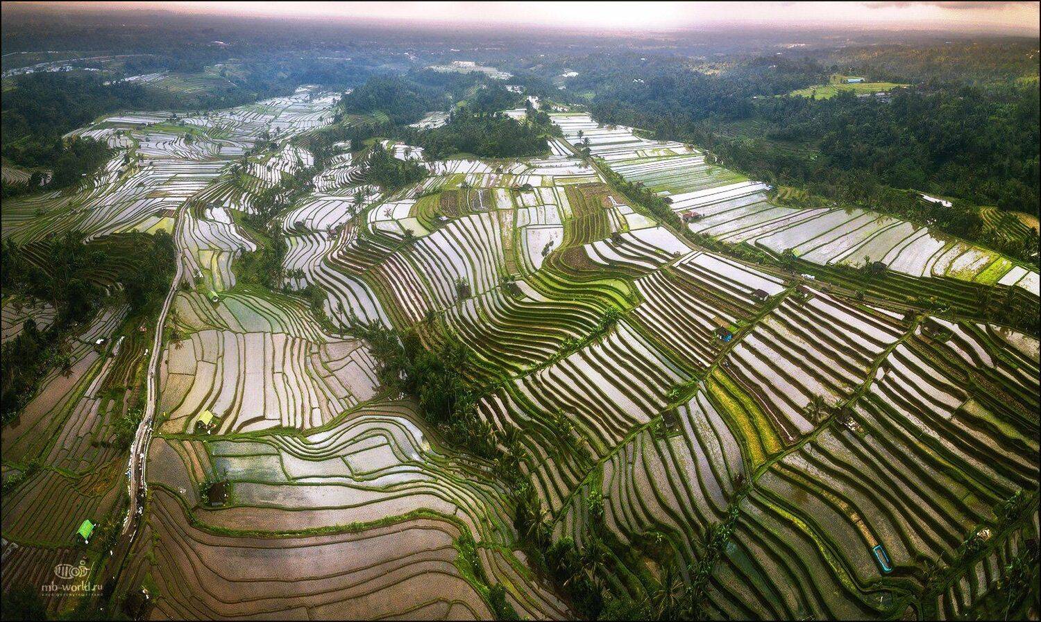 Индонезия, Бали, террасы, пейзаж, закат, Mikhail vorobyev