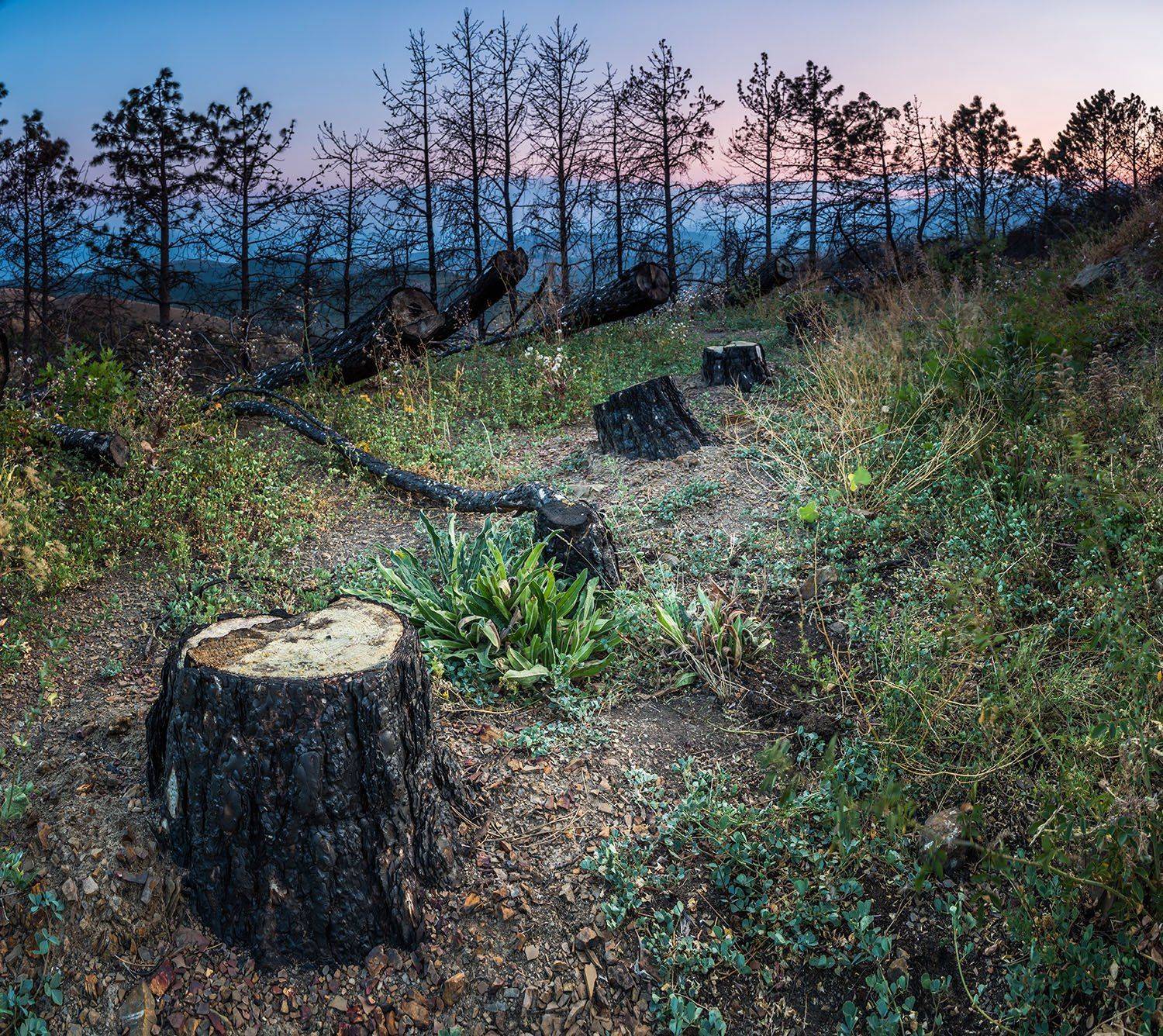 , Станислав Савицкий