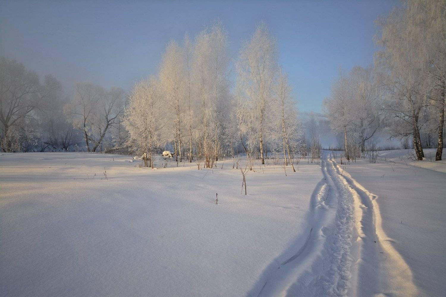 , Анатолий Зверев