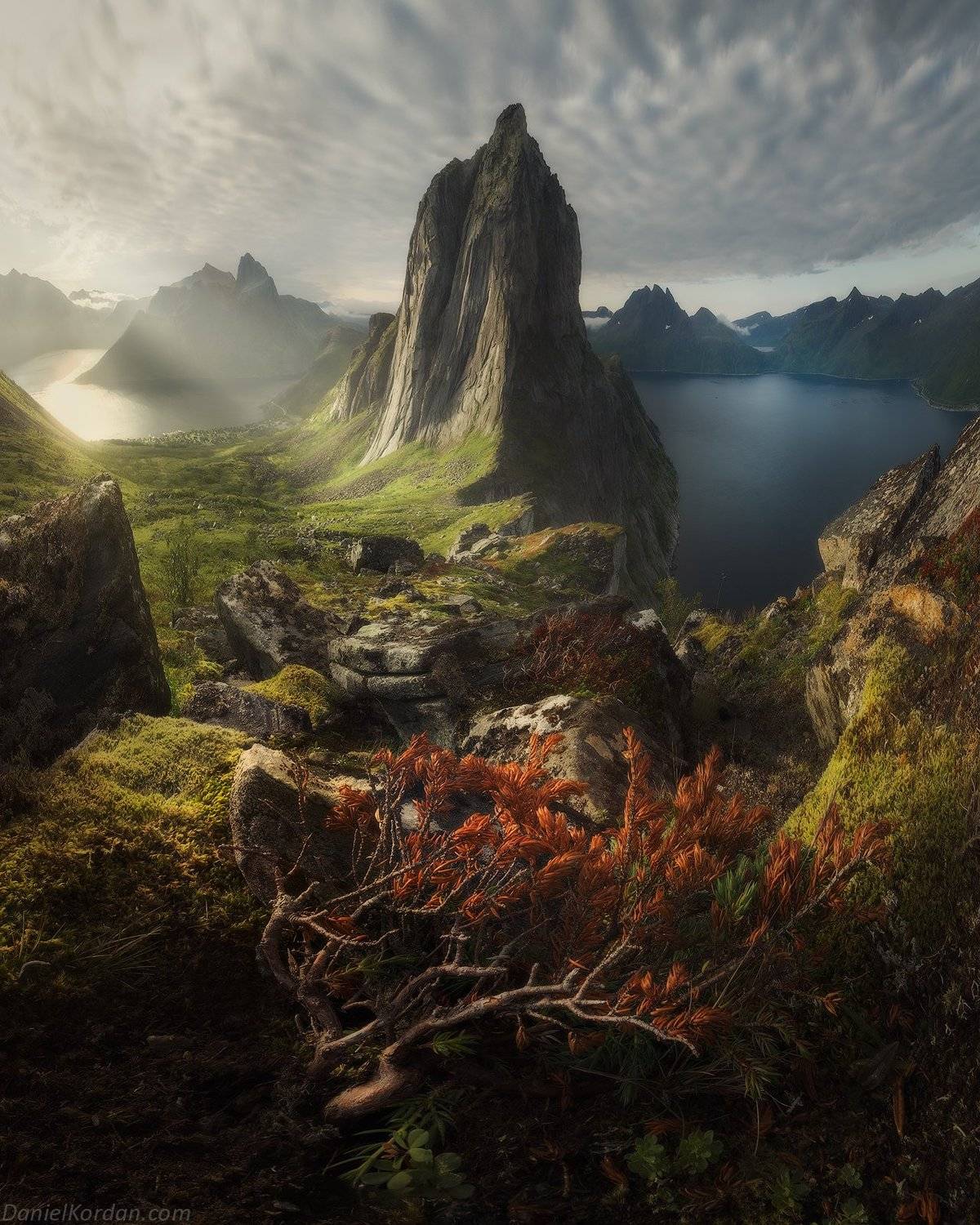 норвегия, Даниил Коржонов