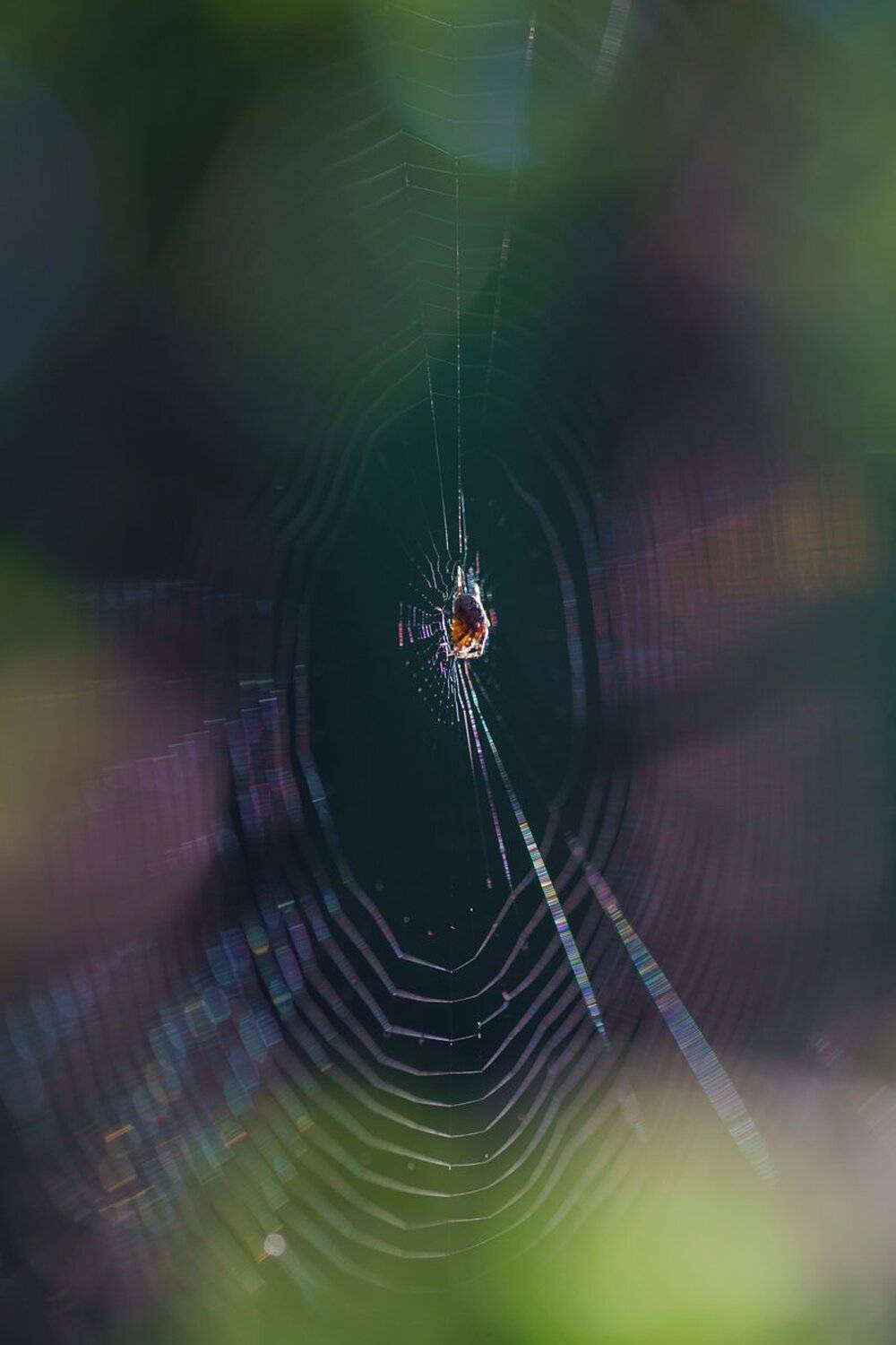 , Кузнецов Дмитрий