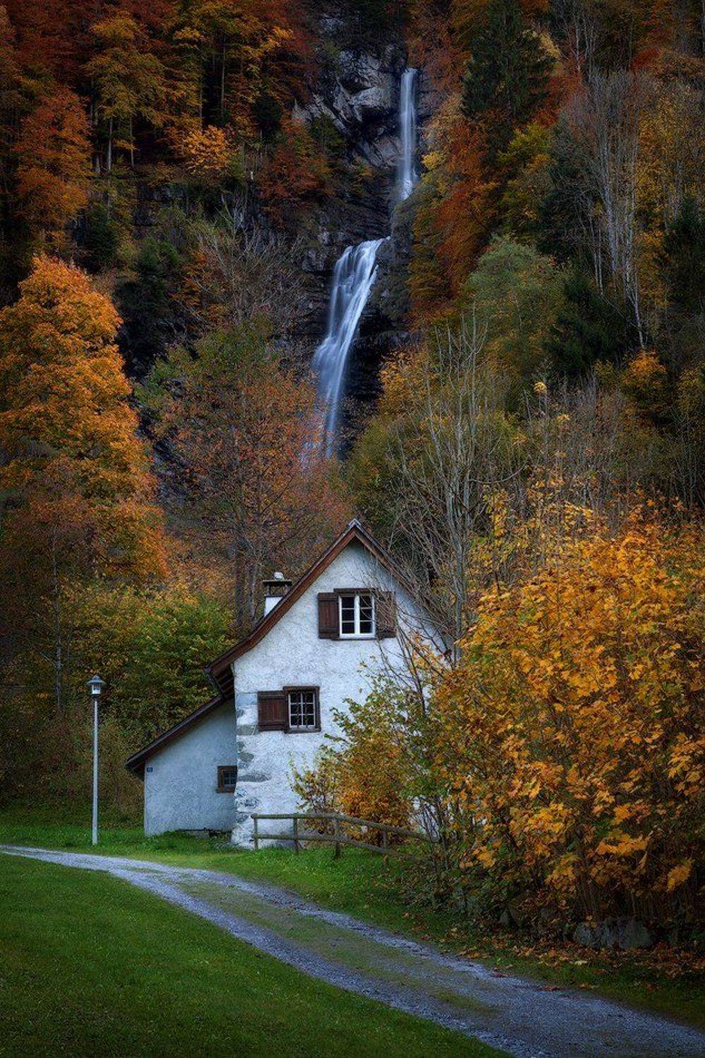 switzerland, Alex Yurko