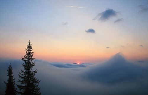 Из плена туманов