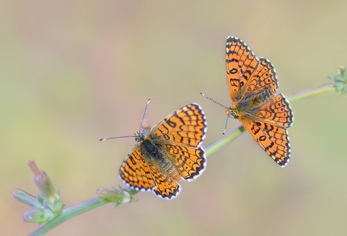 Давай знакомиться!