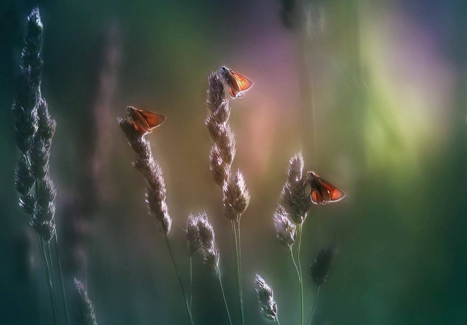 , Галина  Юняева