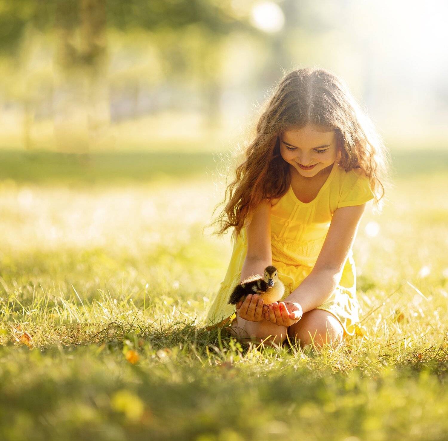 ребенок солнце природа утенок, Алексей Баталов