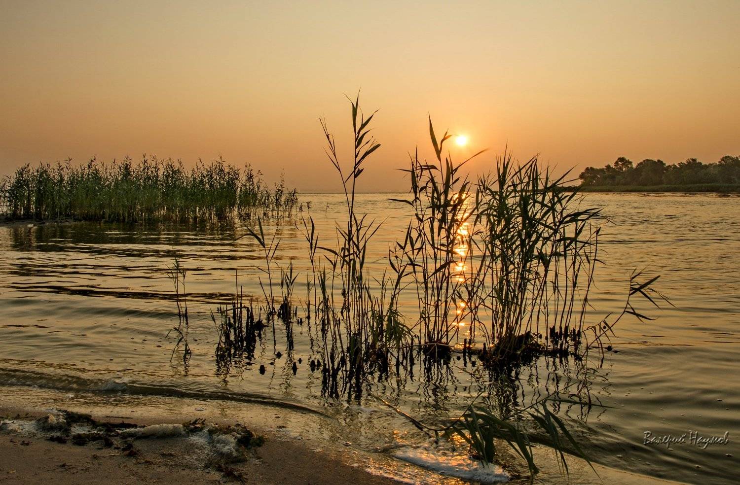 утро, рассвет, река, восход, июль, Валерий Наумов