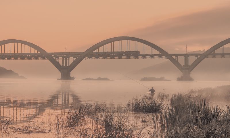 жд, железная дорога, поезд, россия,  пейзаж, skrylov, skrylov_official, электровоз, рыбак, утро, туман, лето нижний новгород, ока *** фото превью
