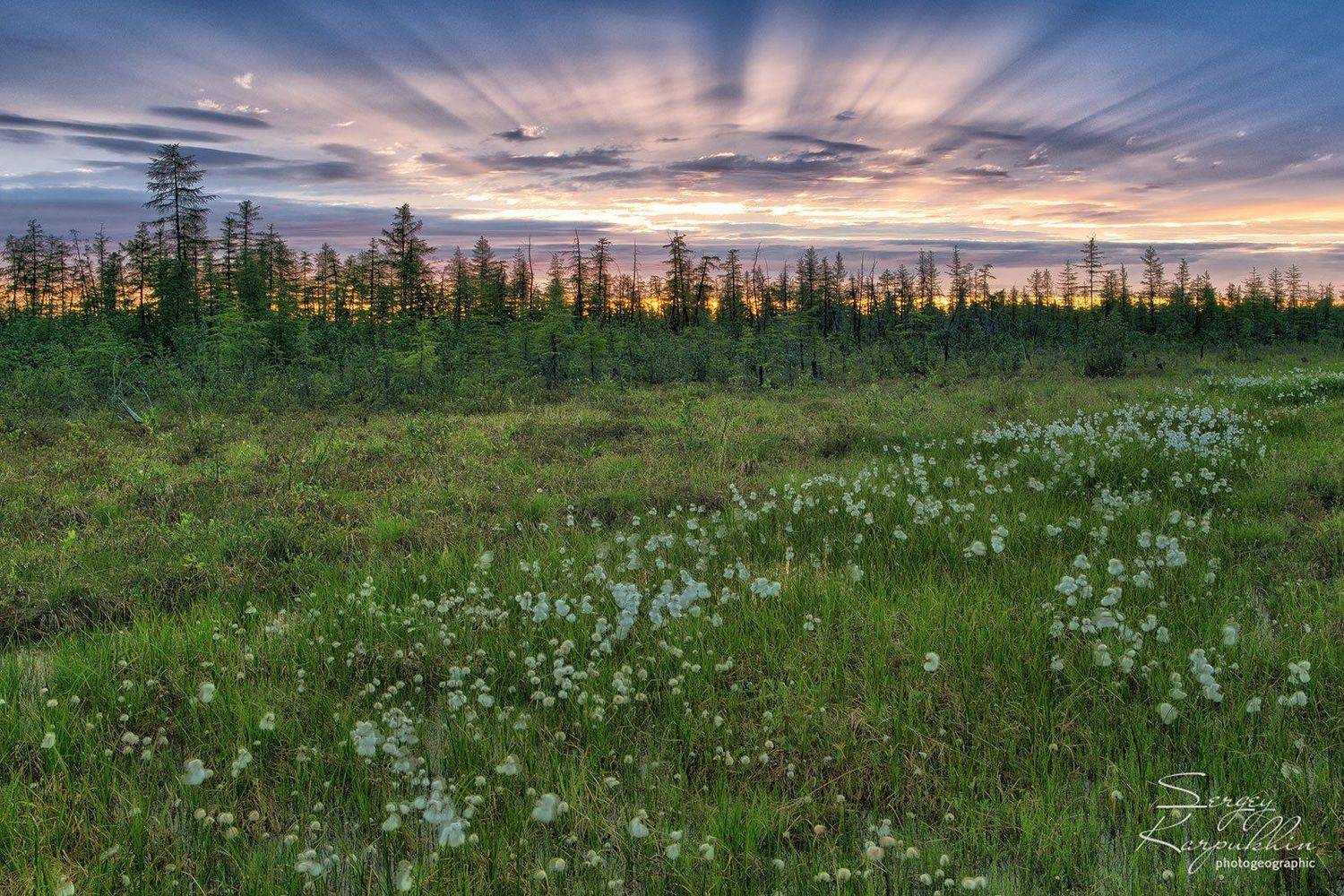 якутия, индигирка, Сергей Карпухин