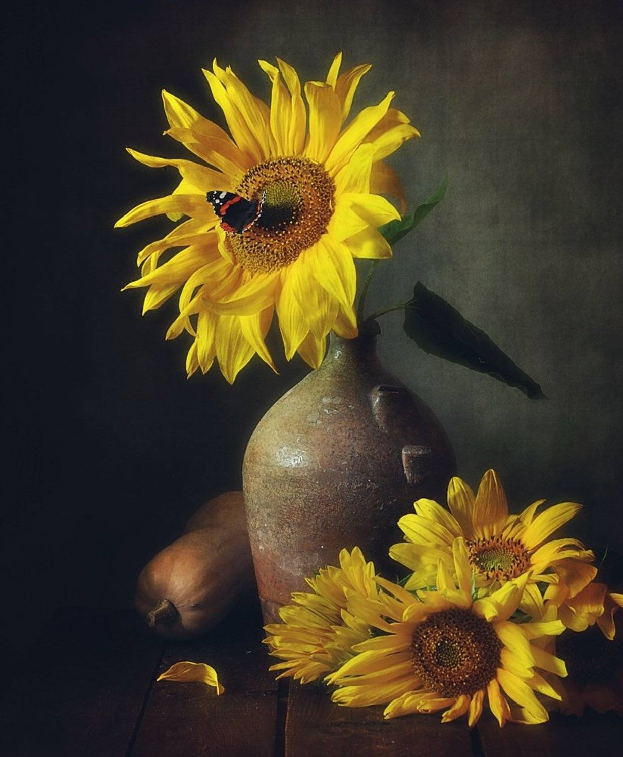 натюрморт,бабочка,адмирал,подсолнухи, Наталия К