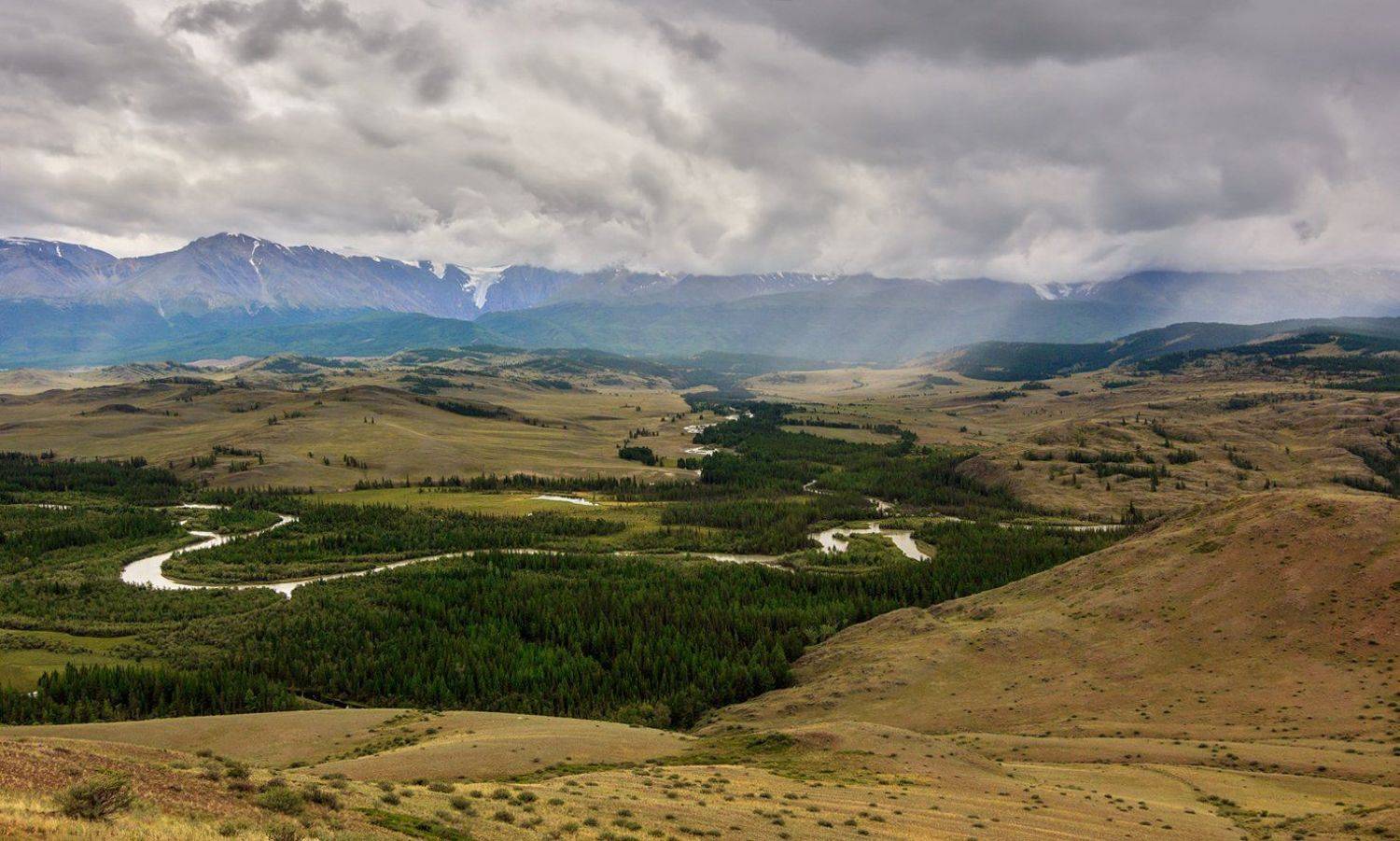 , Дмитрий Д.