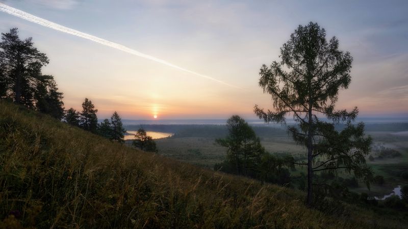 Сибирское утро,рассвет, туман, берег реки,лиственница,восходящее солнце,Siberian morning, dawn, fog, river bank, larch, rising sun ***** фото превью