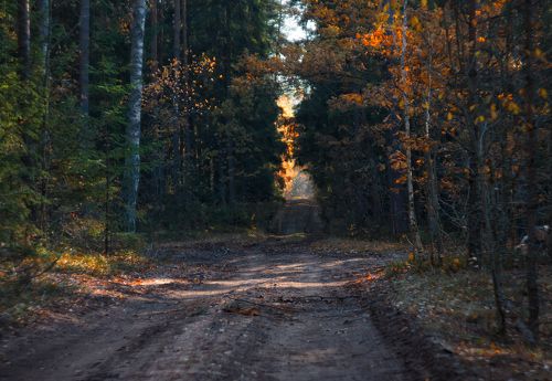 Фрагмент осени