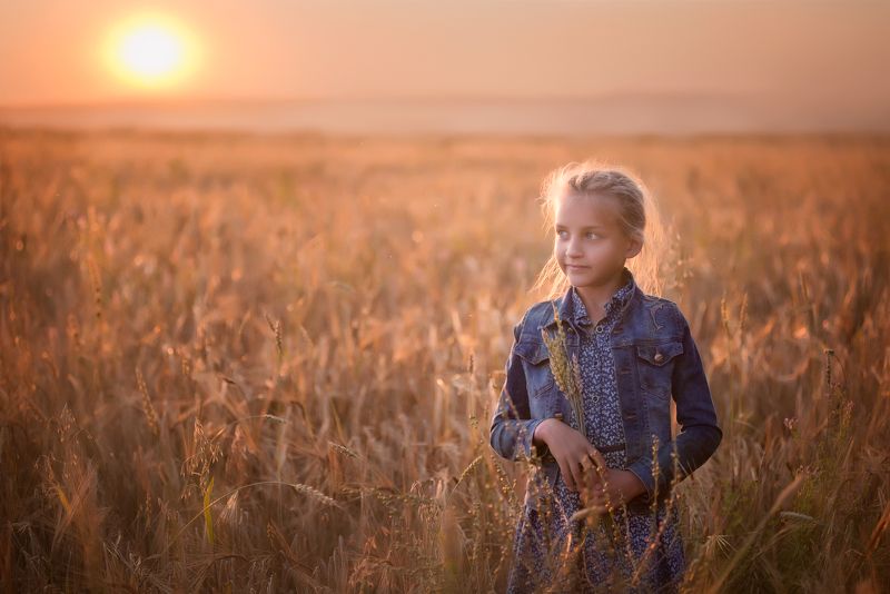 лето, поле, дети, закат Лето фото превью
