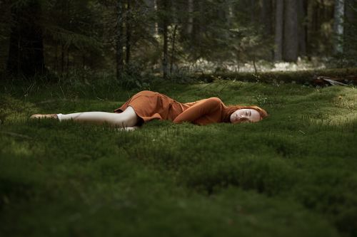 Into the woods