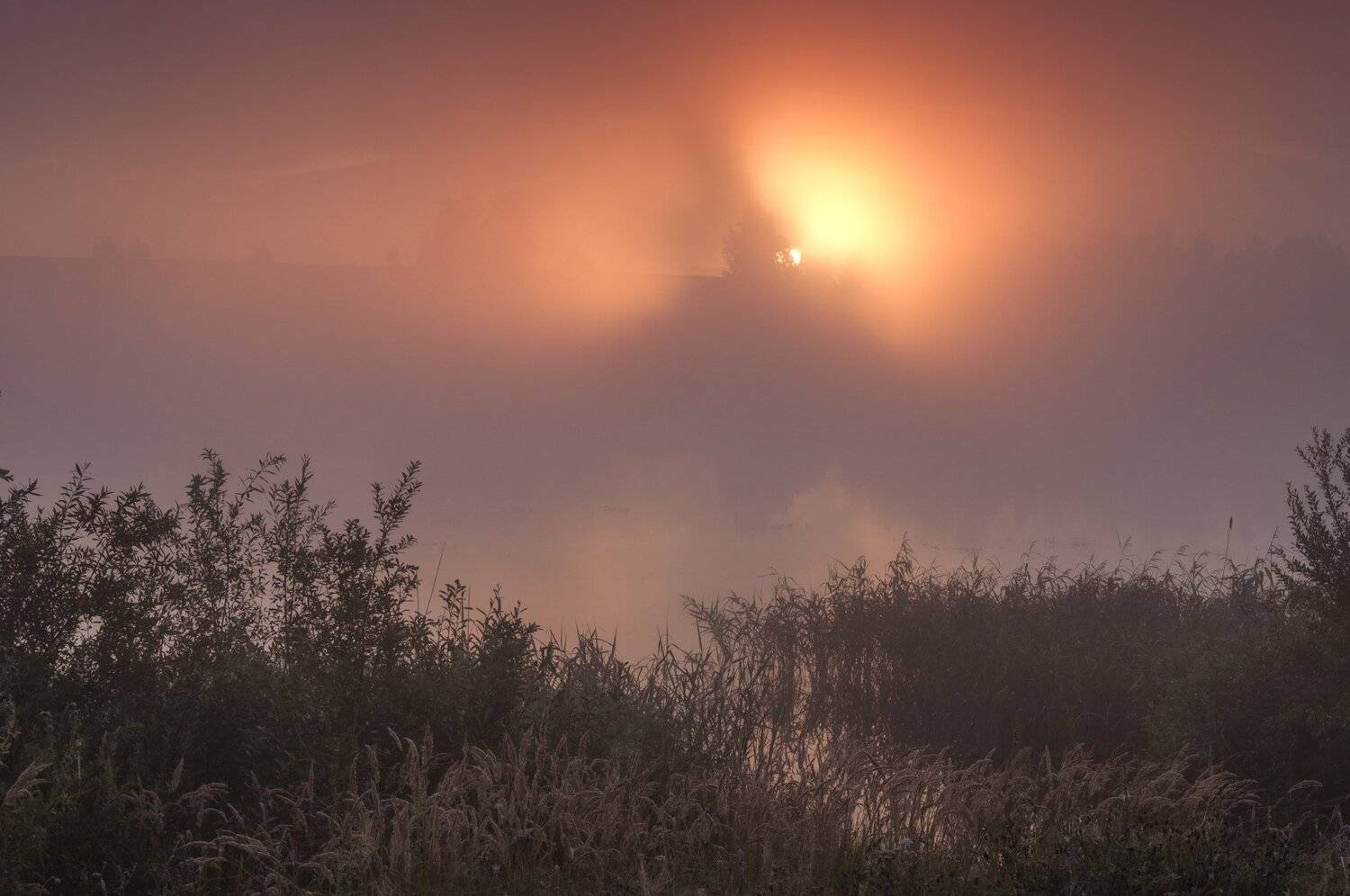 россия,лето,туман,рассвет,река,солнце, Павел Ныриков