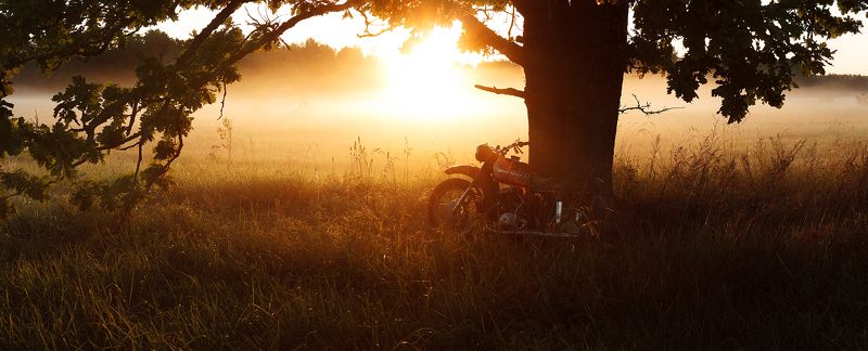 утро, туман, дуб, иж, брянск, алексей платонов, пейзаж,old grandfather izh old grandfather izh фото превью