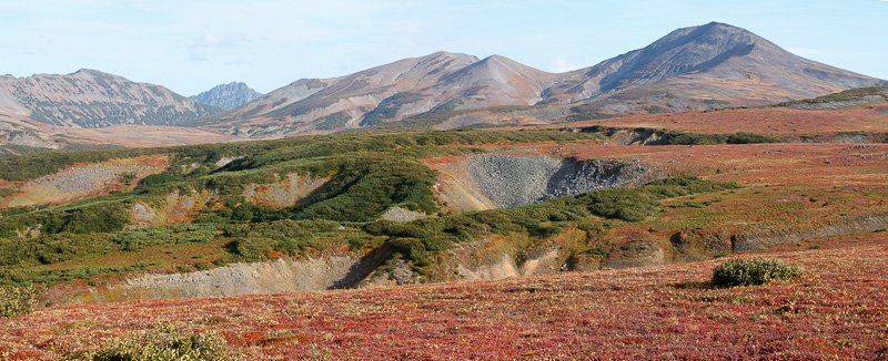 Осень, Камчатка, тундра, сопки, вулканы, горы, Сергей Козинцев