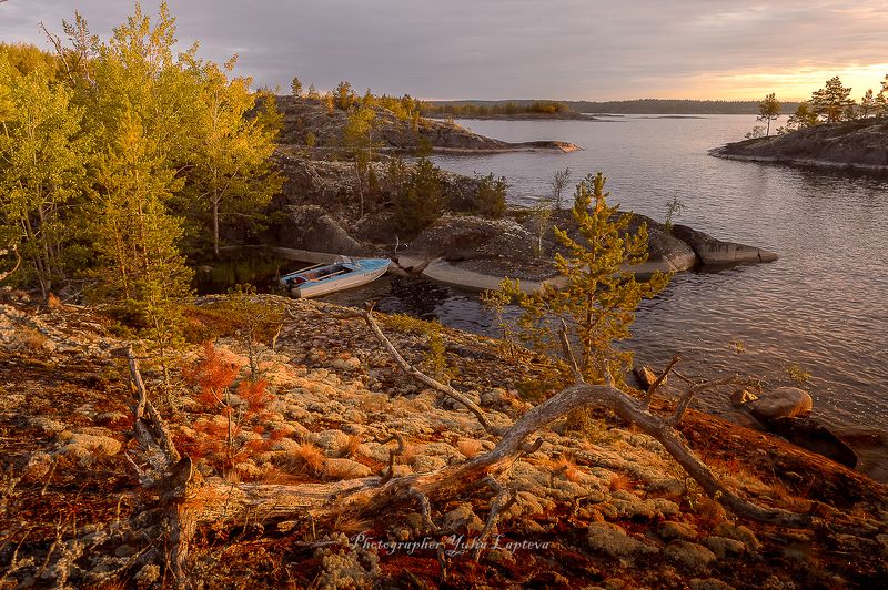 пейзаж,природа,путешествия,ладога,россия,утро,рассвет Очарование Ладоги фото превью