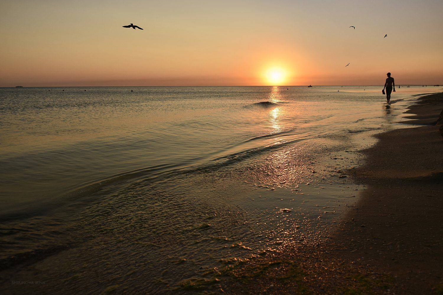 , Шипунова Ирина