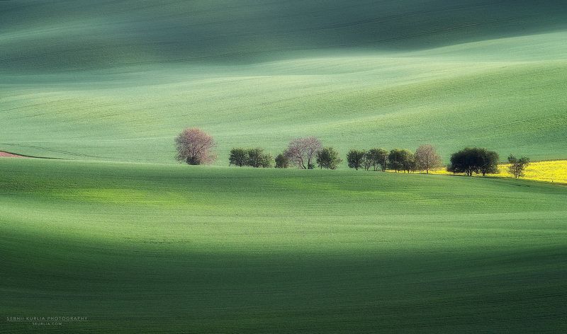Moravia, trees, meadow, fields, grass, green, hills Caravan фото превью