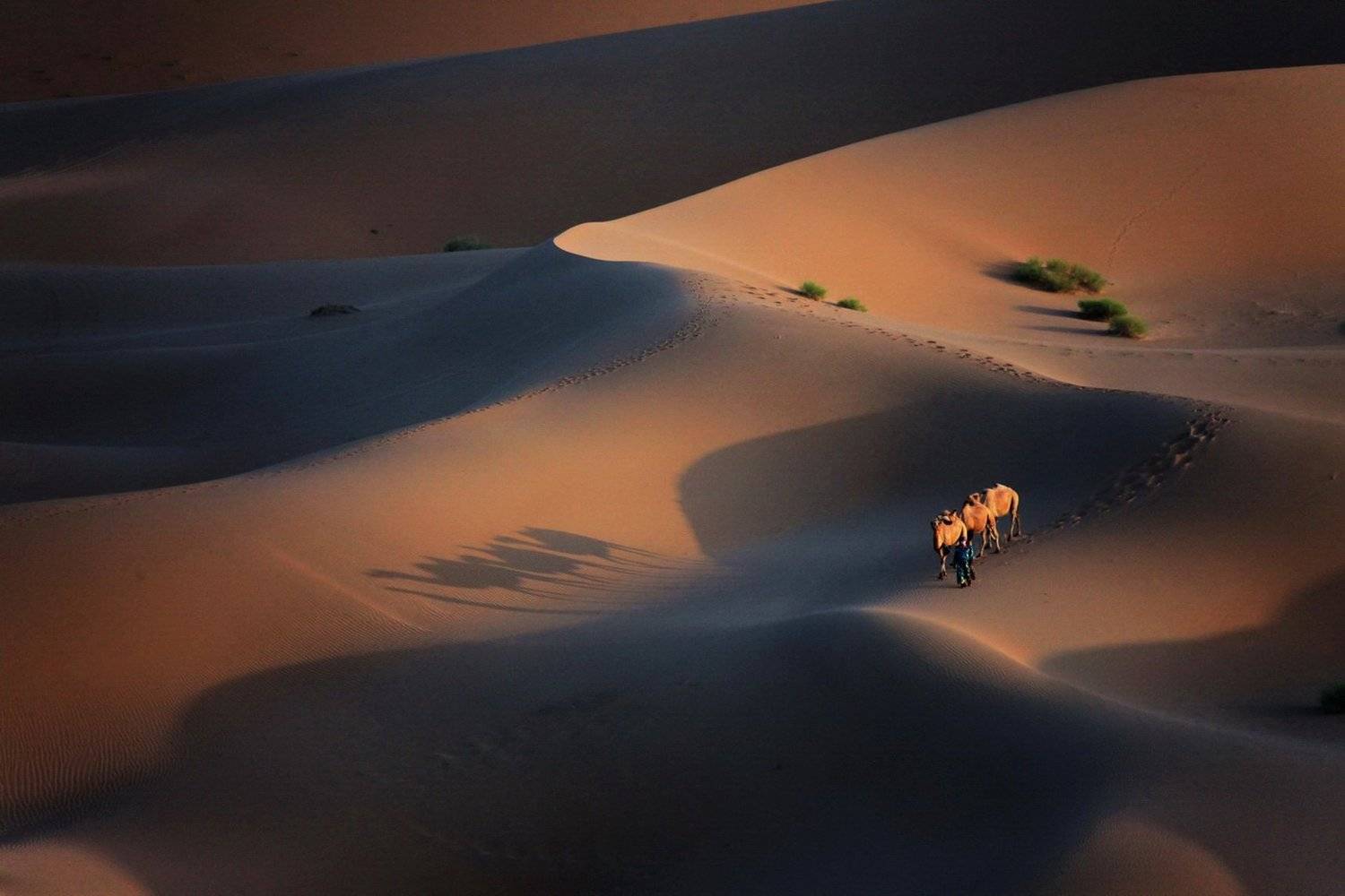 , Inkol Yu  유인걸