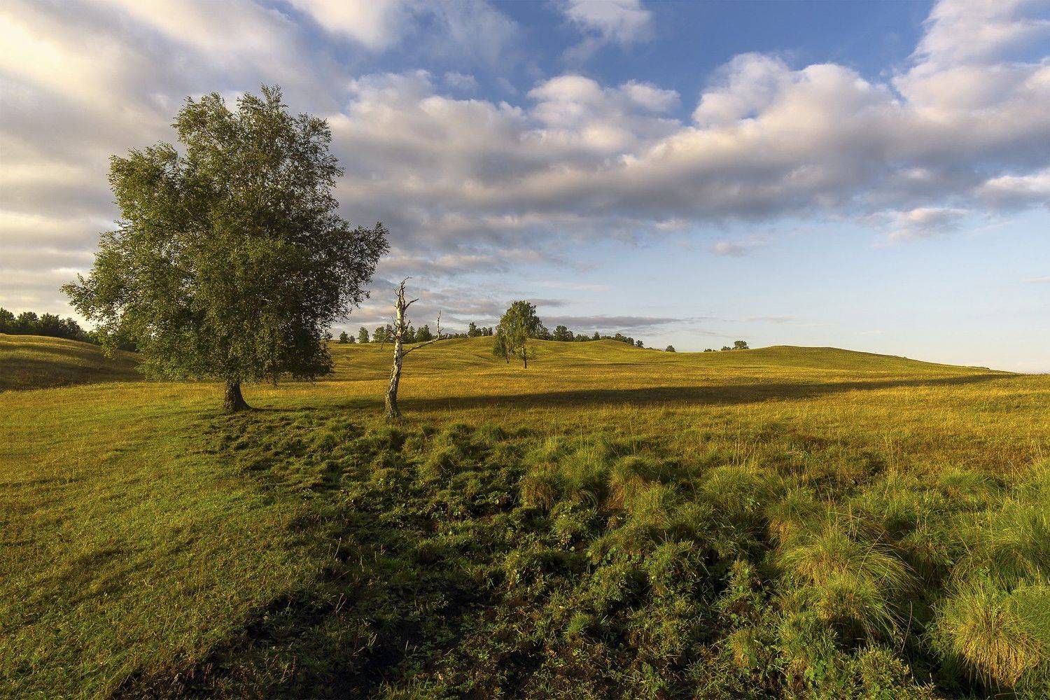утро, рассвет, восход, туман, лучи, Леонид Максименко