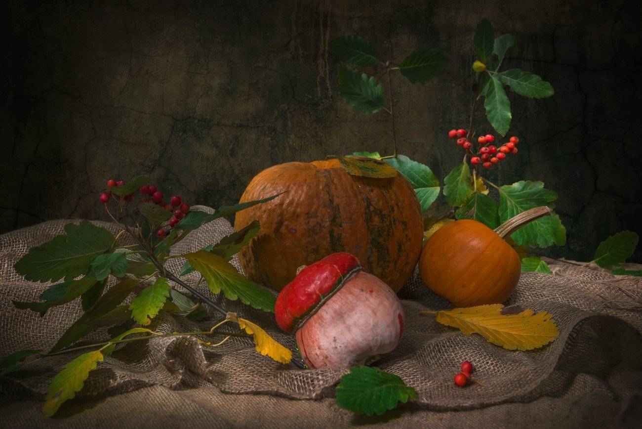 тыквы,рябина,натюрморт,осень, Елена Брежицкая